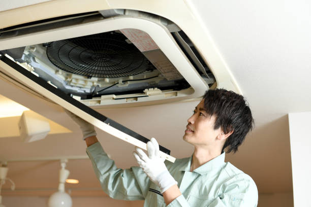 Best Dryer Vent Cleaning Services  in Cornelia, GA